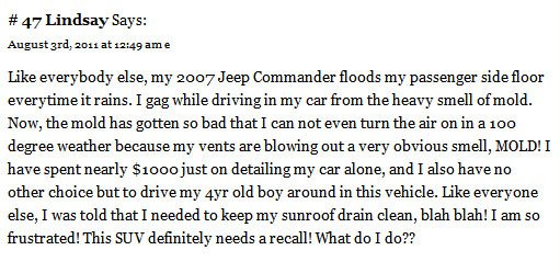 Jeep Commander floods door